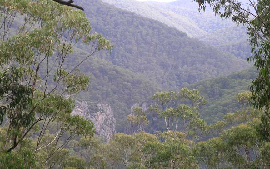 Nowendoc National Park, Nowendoc, NSW