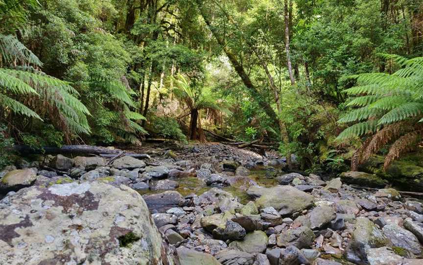 Montezuma Falls, Rosebery, TAS