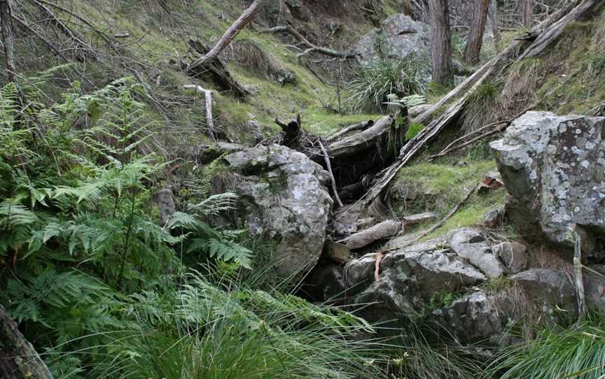 Black Mountain, Acton, ACT