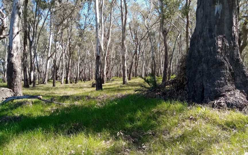 Berembed Weir, Grong Grong, NSW