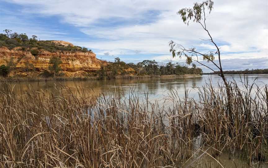 Murray River National Park, Glossop, SA