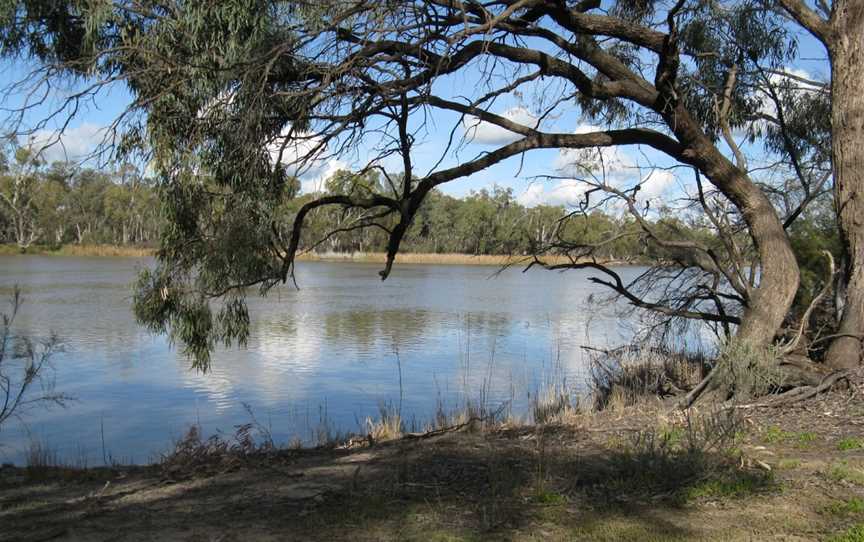 Murray River National Park, Glossop, SA