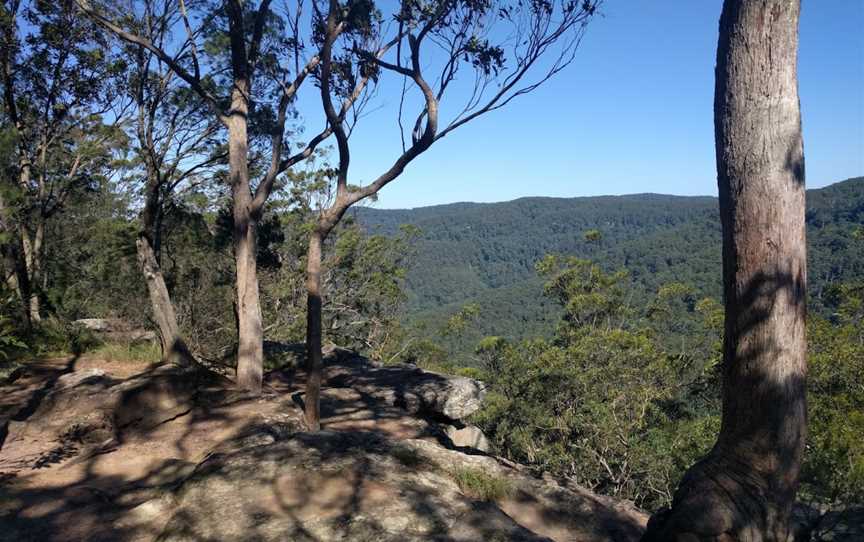 Watagans National Park, Olney, NSW