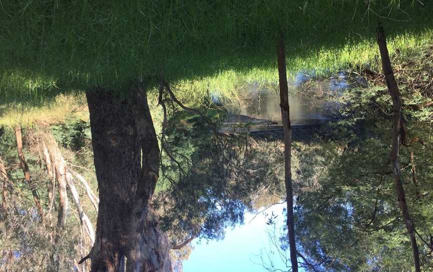 Ovens Billabong, Oxley Flats, VIC