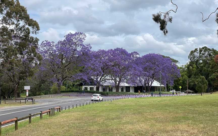 Little Coogee, Parramatta, NSW