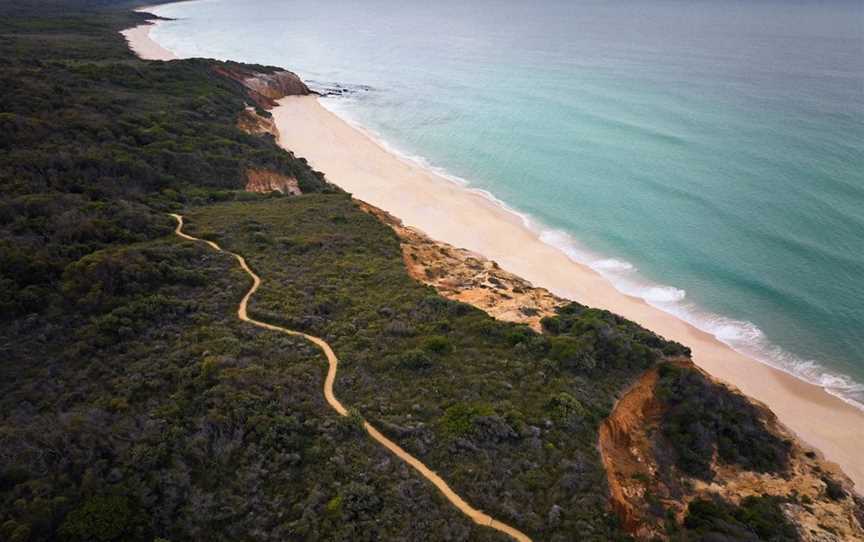 Pinnacles Loop Walking Track, Eden, NSW