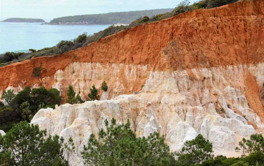 Pinnacles Loop Walking Track, Eden, NSW