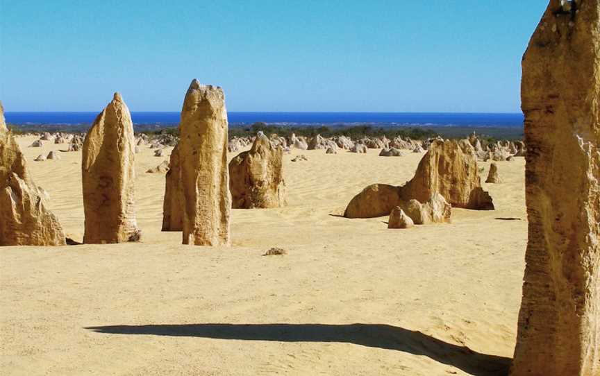 Nambung National Park, Cervantes, WA