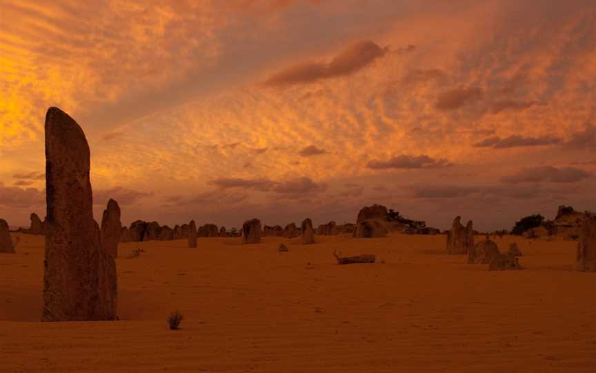 Nambung National Park, Cervantes, WA