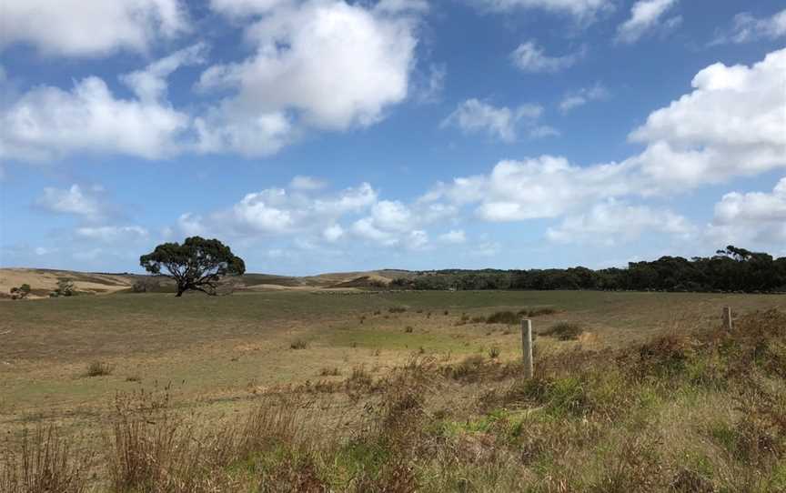 Mount Richmond National Park, Gorae, VIC