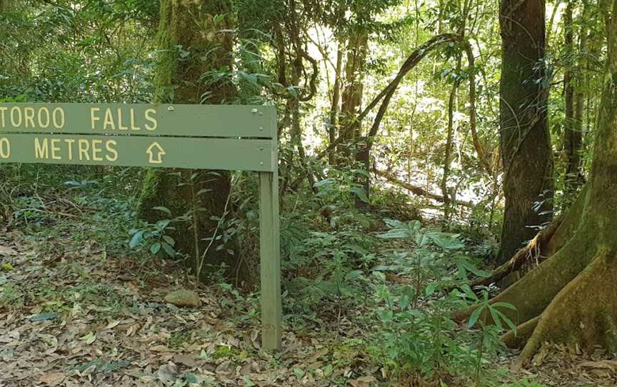 Potoroo Falls walk, Dingo Forest, NSW