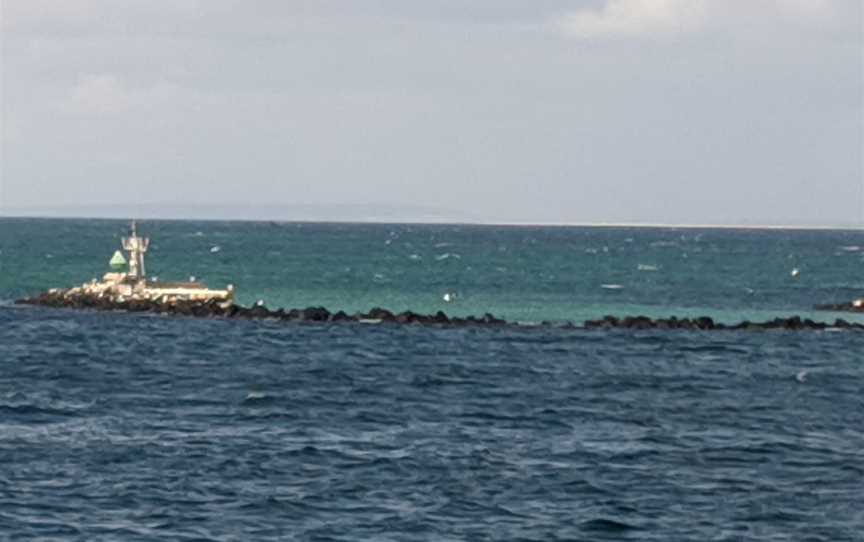 Port Phillip Heads Marine National Park, Portsea, VIC