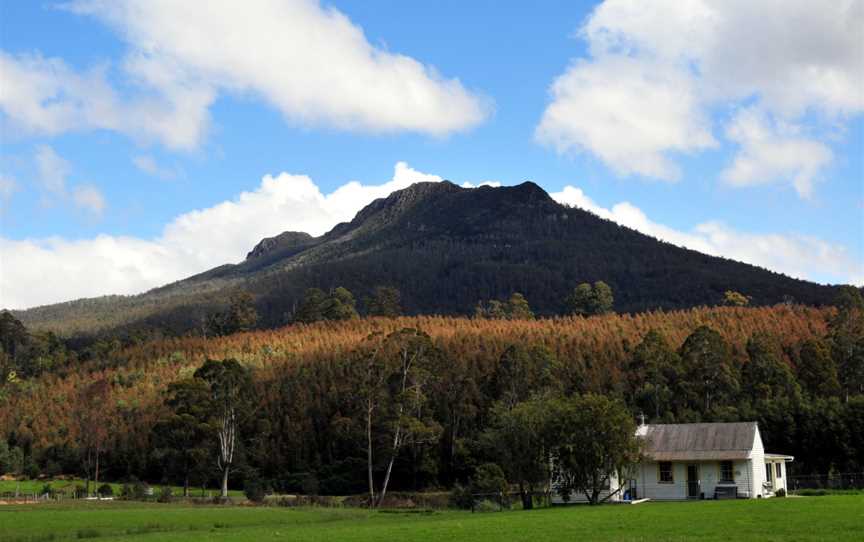 Quamby Bluff, Golden Valley, TAS