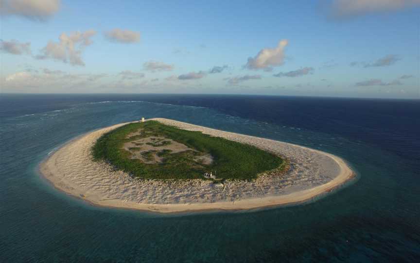 Raine Island, Raine Island, QLD