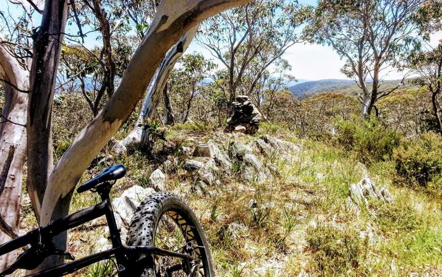 Wallace Creek Lookout, Cabramurra, NSW