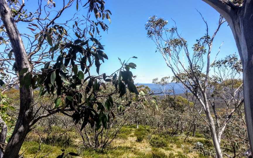 Wallace Creek Lookout, Cabramurra, NSW