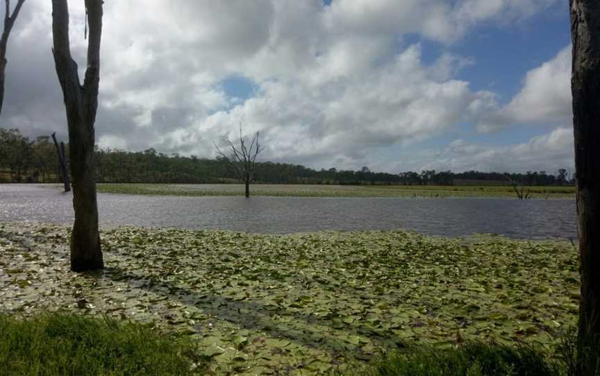 Gordonbrook Dam, Kingaroy, QLD