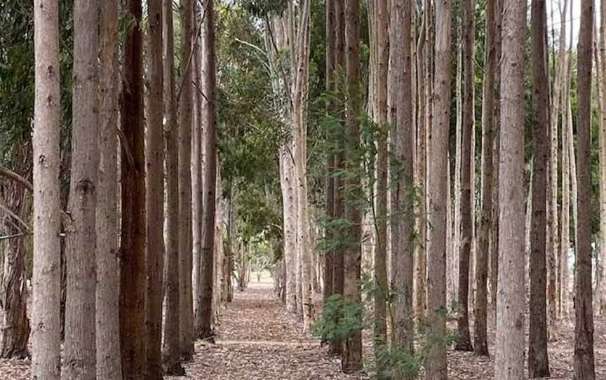 Greenrise Recreational Reserve, Penola, SA