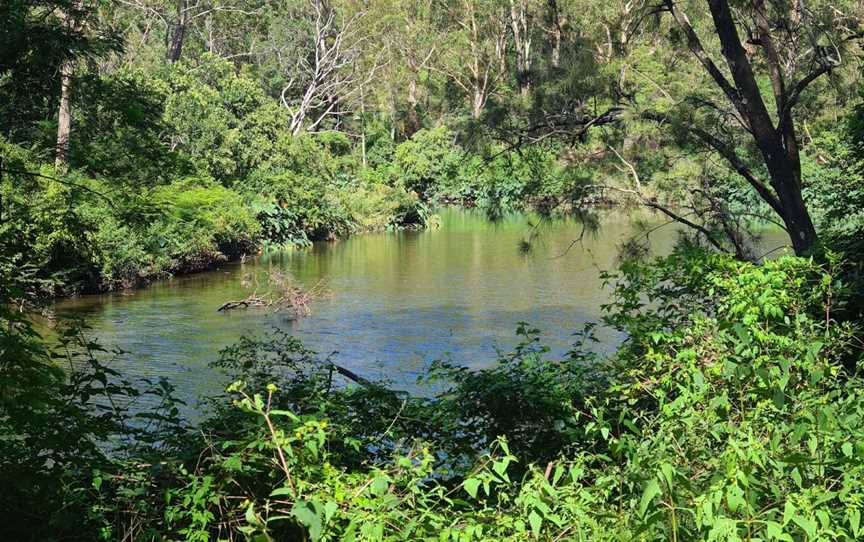 Riverside Walking Track, North Ryde, NSW