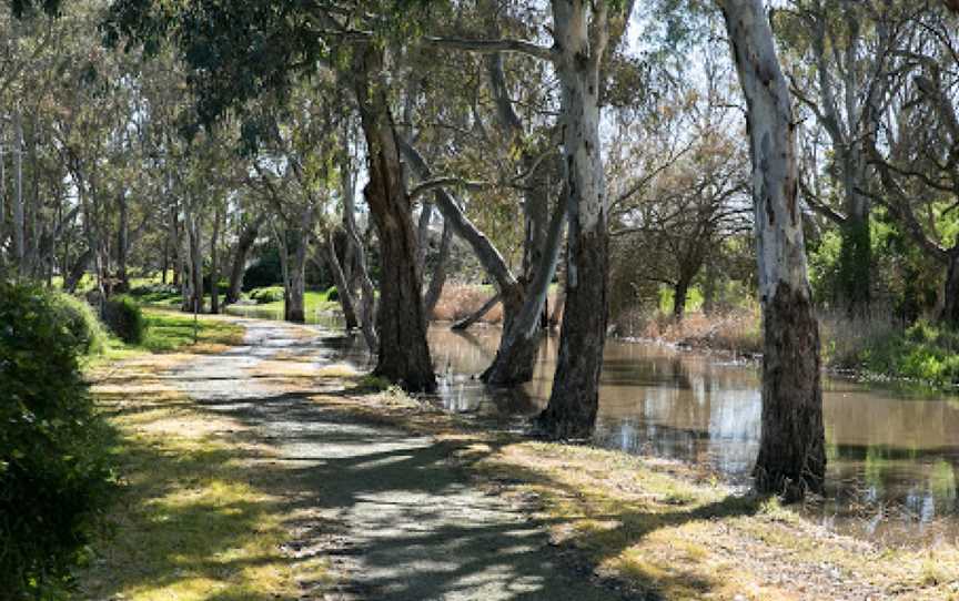 Naracoorte Creek Walk, Naracoorte, SA