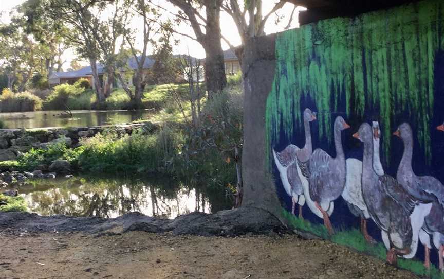 Naracoorte Creek Walk, Naracoorte, SA