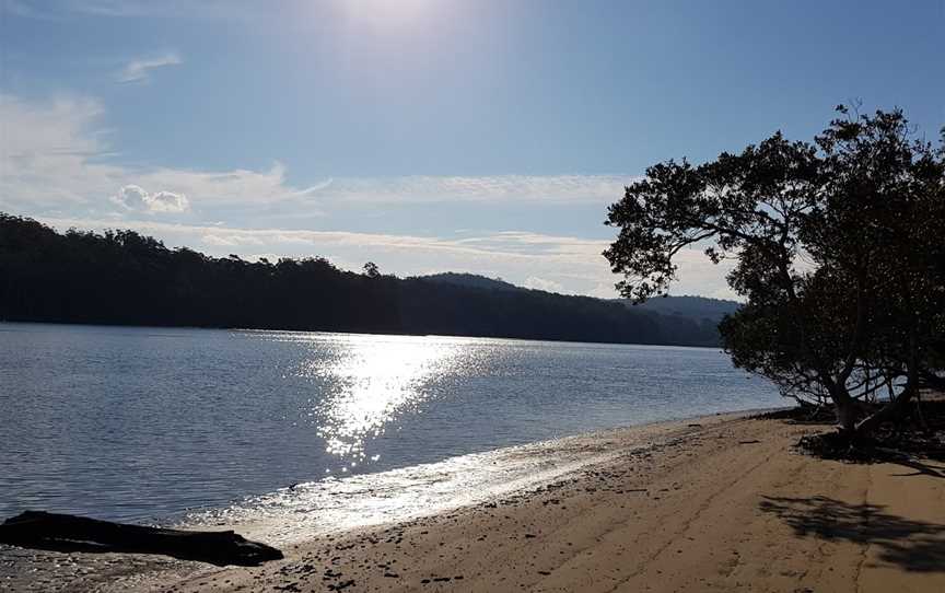 Clyde River National Park, Batemans Bay, NSW