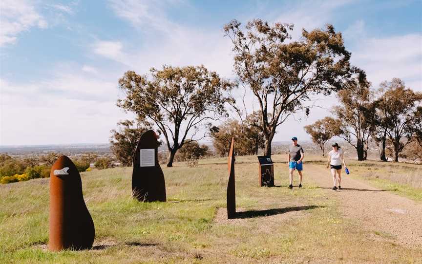 Birramal Conservation area, Lloyd, NSW