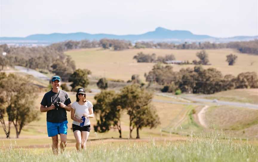 Birramal Conservation area, Lloyd, NSW