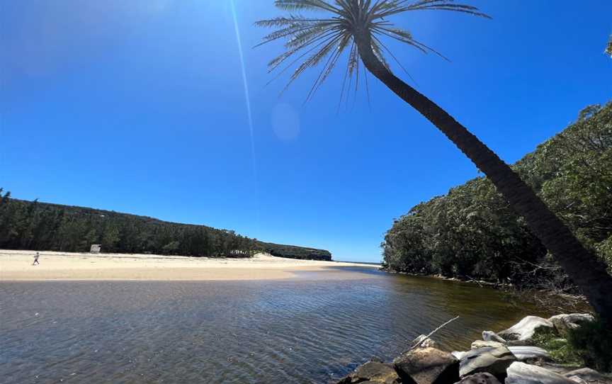 Wattamolla Beach, Waterfall, NSW