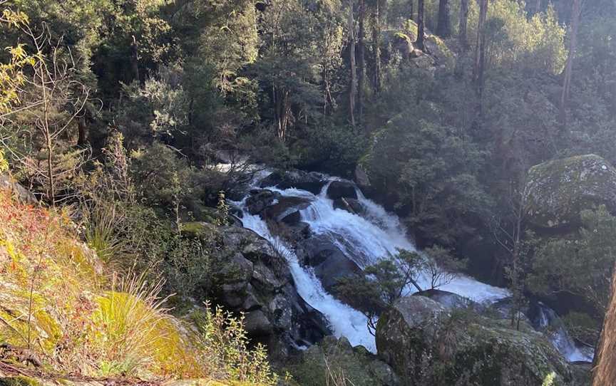 Rubicon Falls Walk, Rubicon, VIC