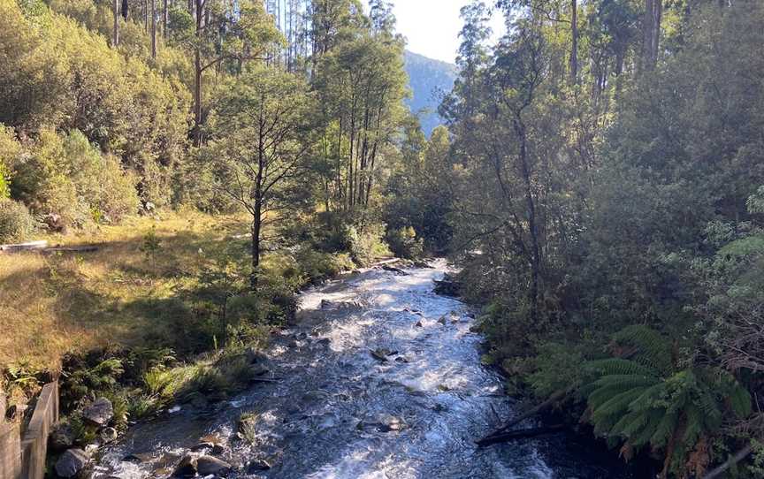 Rubicon Falls Walk, Rubicon, VIC