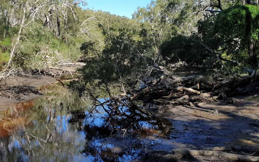 Five Islands Walking Track, Saltwater, NSW