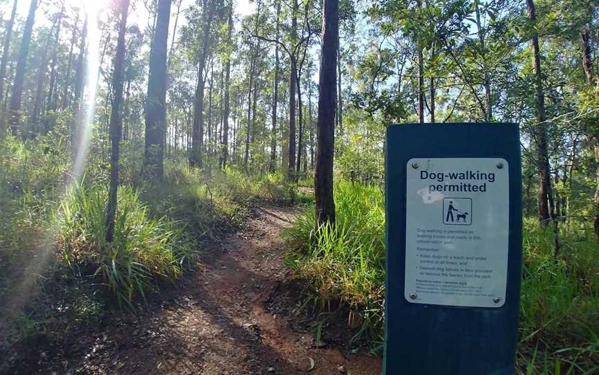 Samford Conservation Forest, Ferny Hills, QLD