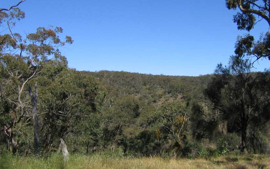 Spring Gully Conservation Park, Spring Gully, SA