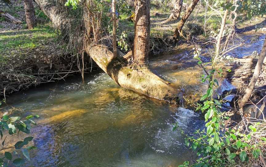 Kalamunda National Park, Piesse Brook, WA