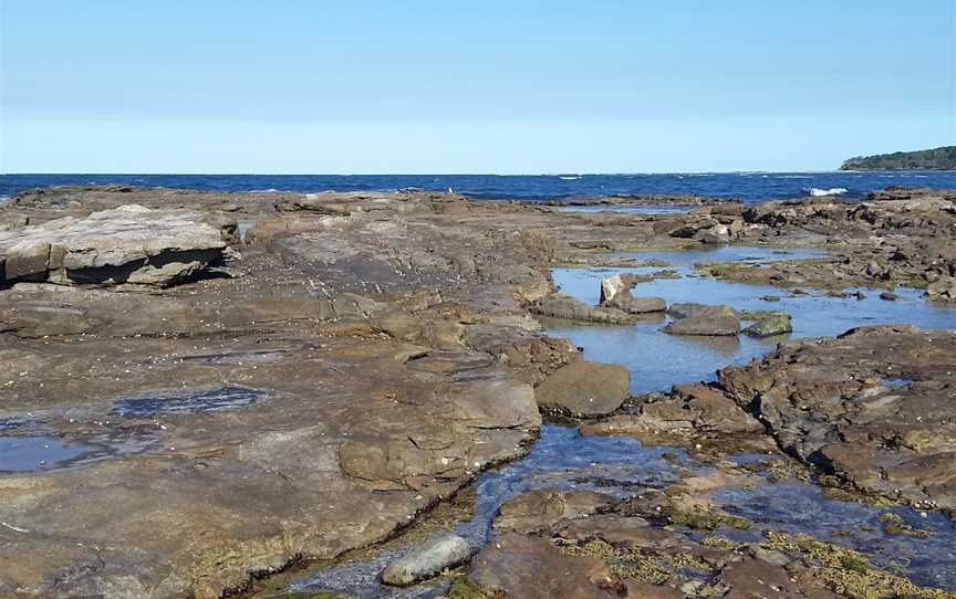 Shark Bay picnic area, The Freshwater, NSW