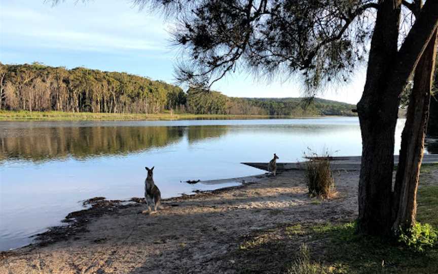 Kayaking Durras Lake, South Durras, NSW