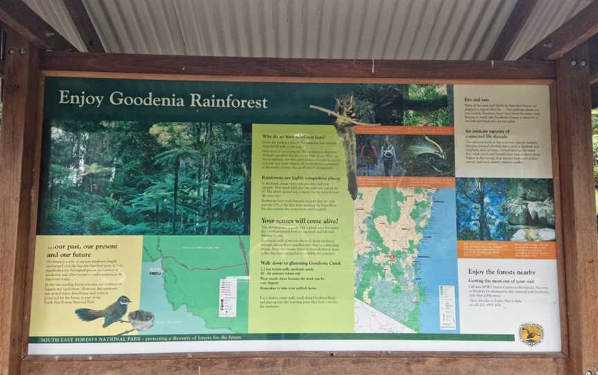 Goodenia Rainforest picnic area, South Wolumla, NSW