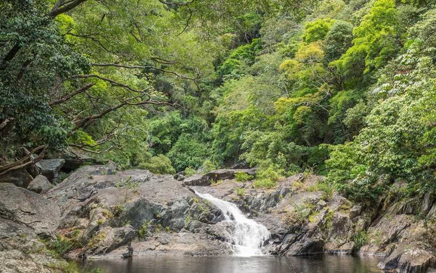 Spring Creek Falls, Mowbray, QLD