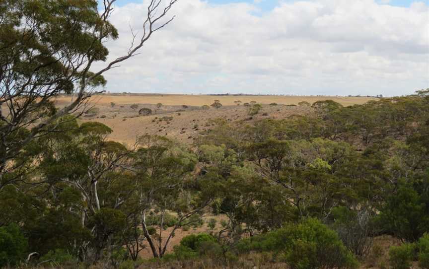 Lenger Reserve, Punthari, SA