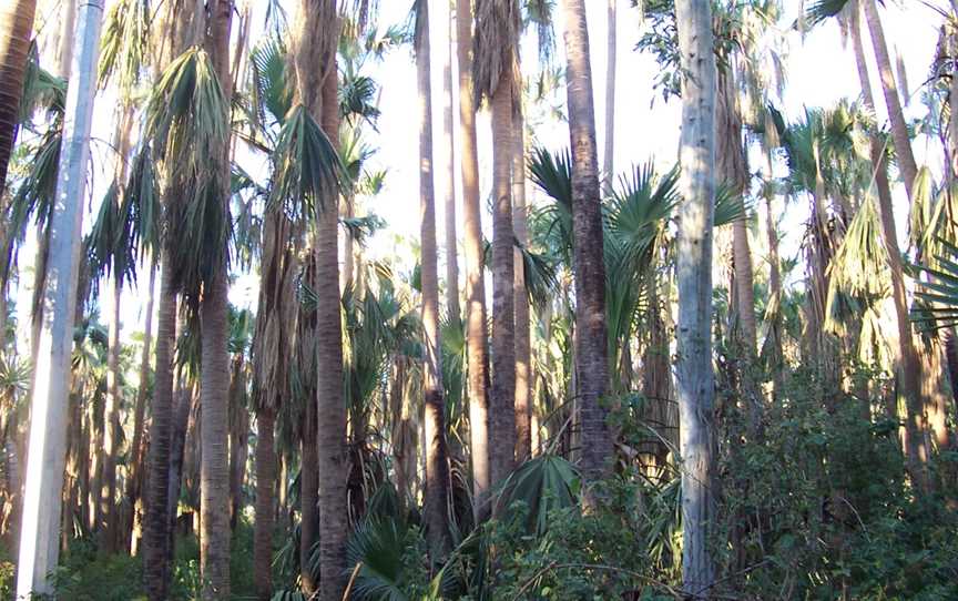 Elsey National Park, Mataranka, NT