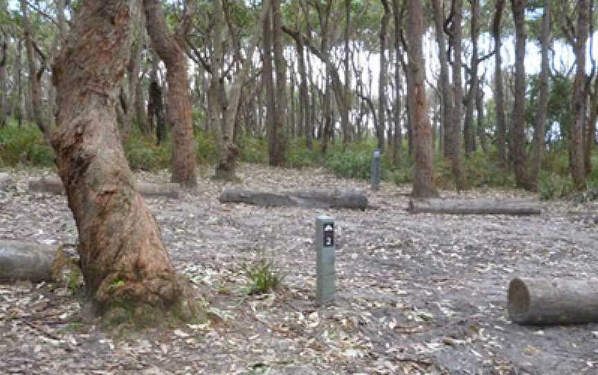 Sunburnt Beach, Termeil, NSW