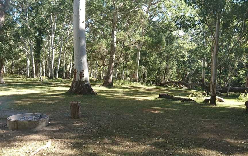 Kroombit Tops National Park, Tablelands, QLD