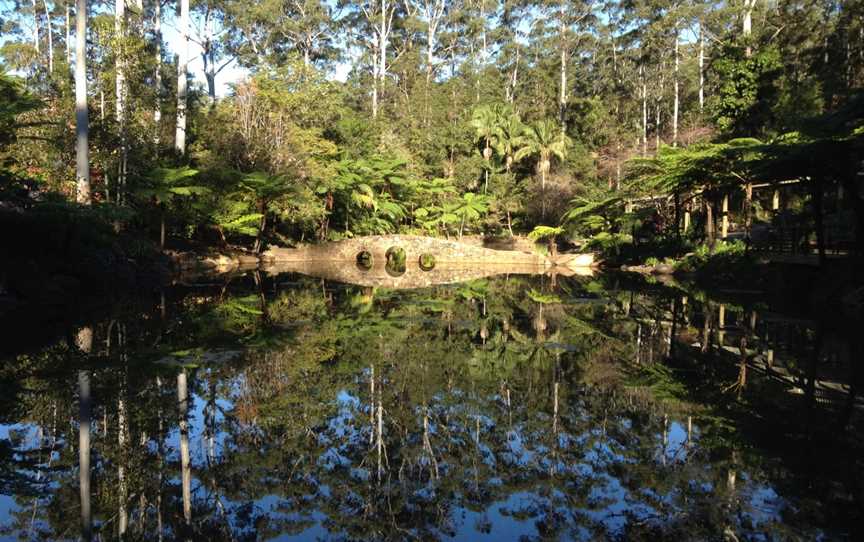 Tamborine National Park, Tamborine, QLD