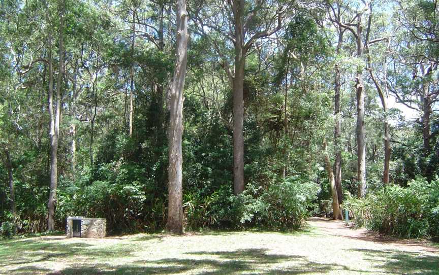 Tamborine National Park, Tamborine, QLD