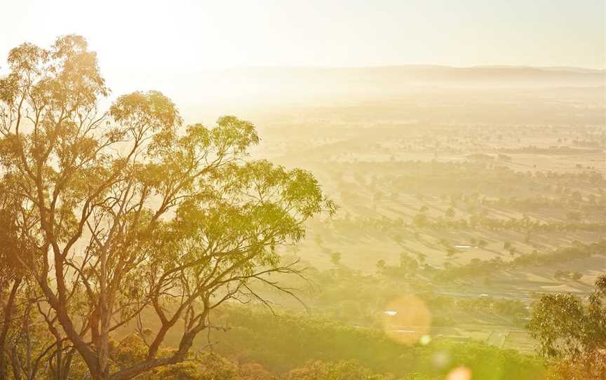 Mt Glenrowan Lookout Walk, Wangaratta South, VIC