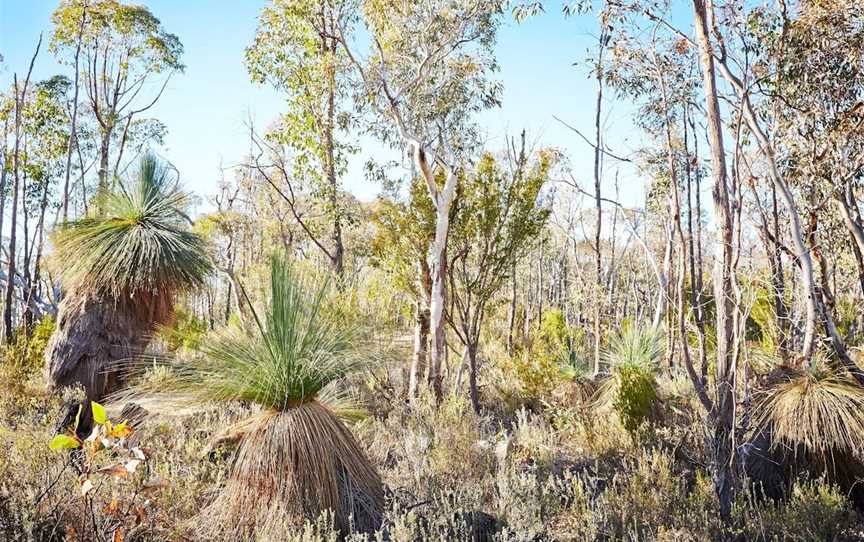 Mt Glenrowan Lookout Walk, Wangaratta South, VIC