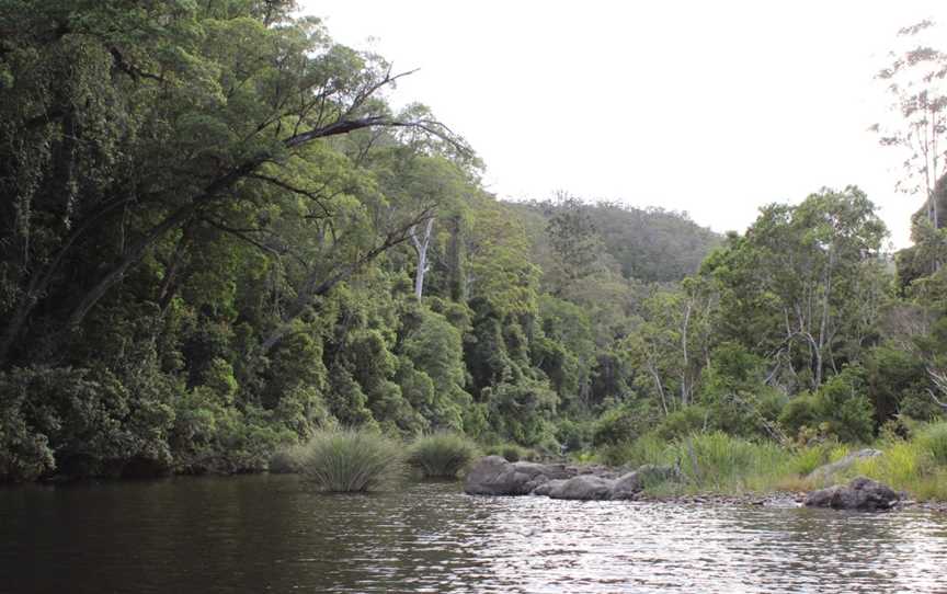 Nymboi-Binderay National Park, Wild Cattle Creek, NSW