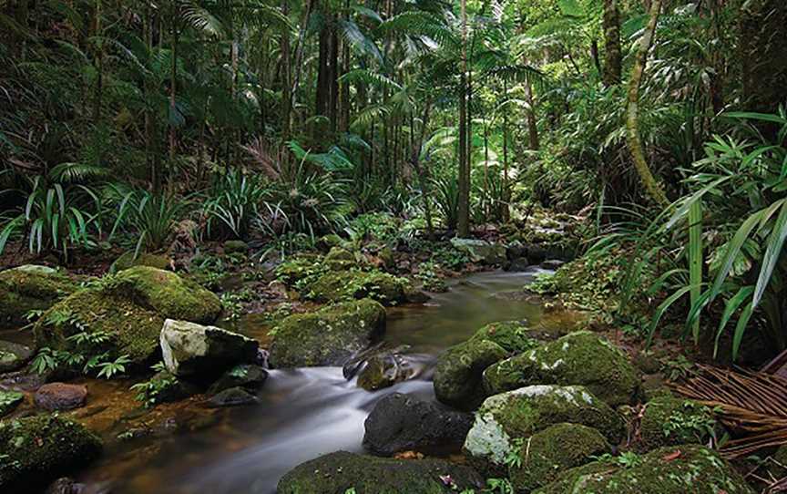 Protesters Falls Walking Track, Nightcap, NSW