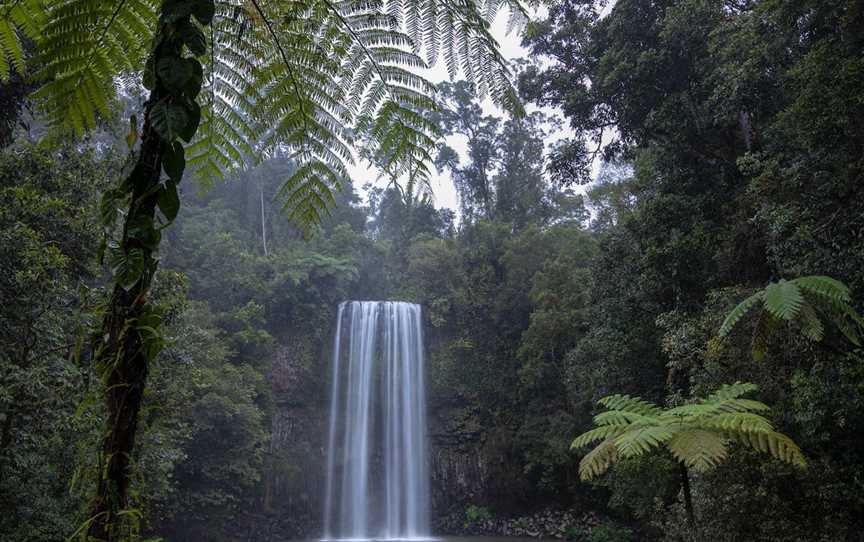 Millaa Millaa Falls, Millaa Millaa, QLD